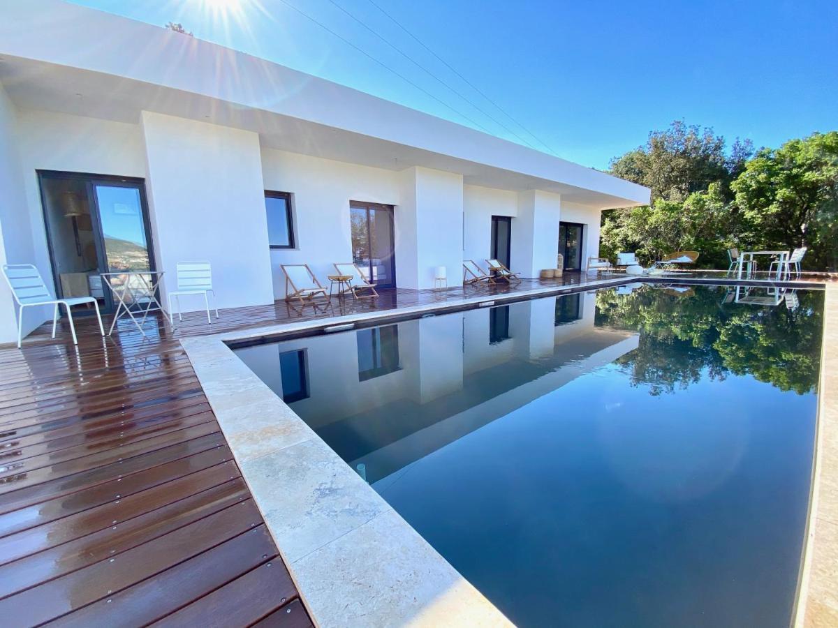 Villas De Standing Avec Magnifique Vue Mer Et Piscines Privees, Sagone ساغون المظهر الخارجي الصورة